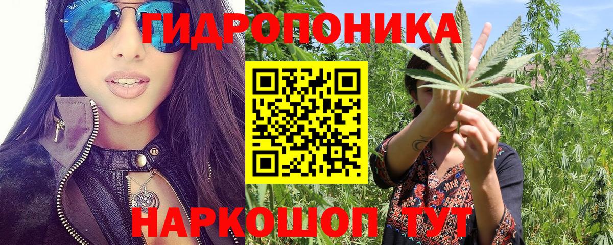 Канабис ГИДРОПОН Кулебаки
